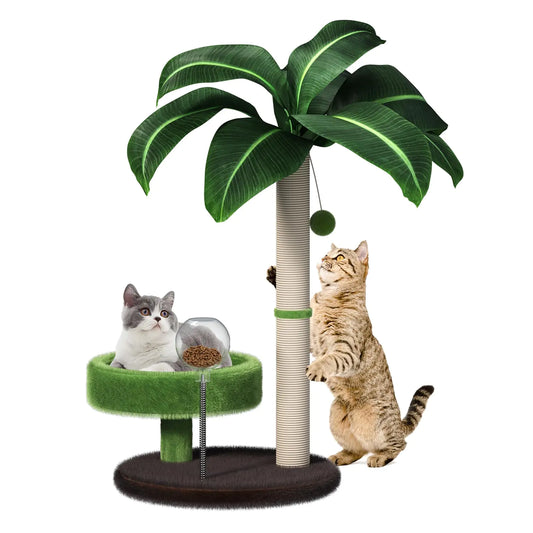Cat Scratching Post